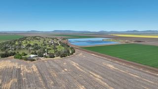 Blue-Chip Irrigated Cropping Property For Sale NSW
