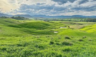 Rural Property For Sale Offers Country Luxury And Grazing Excellence