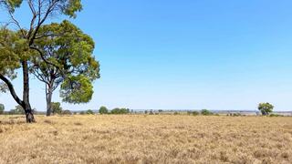 2365 Riley’s Crossing Road, Comet Auction by RBV Rural Pty Ltd