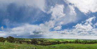 1126 Pattersons Road, Harefield Auction by Makeham Livestock Marketing