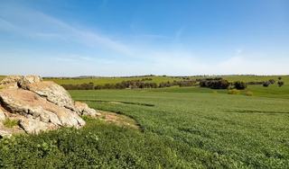 246 Wantabadgery Road , Junee Auction by Makeham Livestock Marketing