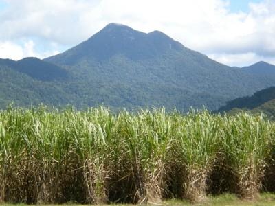 Farms and Rural Property For Sale in QLD