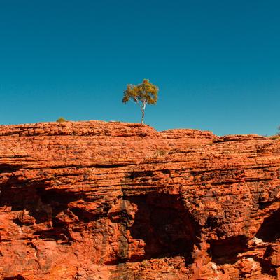 Farms and Rural Property For Sale in NT