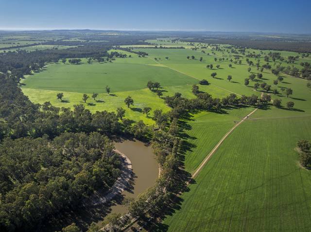 3688 Sturt Highway, Collingullie NSW 2650