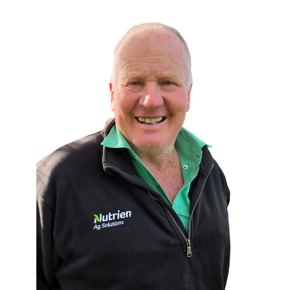 Andrew Grant - Nutrien Harcourts Real Estate