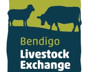 Bendigo Livestock Exchange