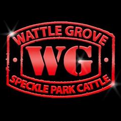 Wattle Grove Speckle Park