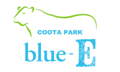 Coota Park blue-E