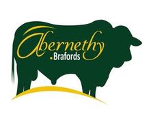 Abernethy Brafords