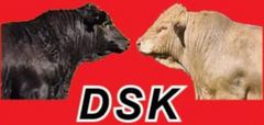 DSK Angus