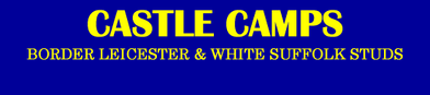 Castle Camps Border Leicester