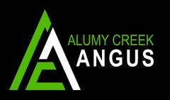 Alumy Creek Angus