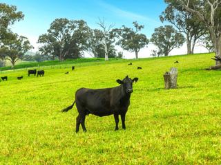 Rare Rural Property For Sale Combines Productive Country, Excellent Water + Extensive Infrastructure