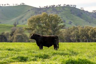 Murrumbidgee River Production Powerhouse For Sale