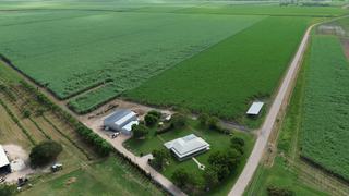 Turn-Key Burdekin Sugarcane Farm For Sale