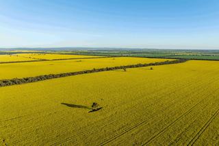 Large Scale, Highly Improved Cropping Property For Sale WA