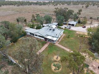 Large Cattle + Sheep Property For Sale NSW North West