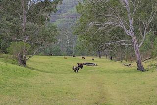 One Of Sydney Basin’s Largest Rural Properties For Sale