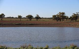 Enjoy Scale + Secure Water With This NSW Grazing Property For Sale