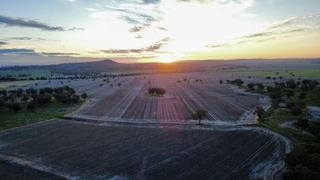 Distinguished Liverpool Plains Mixed Farm For Sale