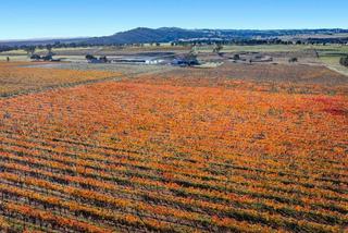 Premium Vineyard With Tourism Development Potential For Sale VIC
