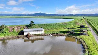 Prime Irrigated Sugar Cane Farm For Sale QLD