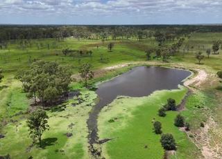 Large QLD Cattle Property For Sale, As A Whole Or Six Lots