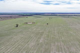 Farm For Sale Offers Scale + Productivity in NSW’s ‘Golden Triangle’