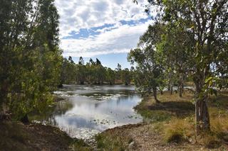 Large-Scale Coastal Cattle Grazing Property For Sale QLD