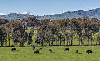 VIC Rural Property For Sale Boasts Exceptional Country, Water Security + Farming Infrastructure