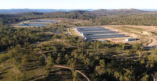 One Of QLD’s Most Significant Poultry Farms Offered For Sale