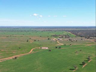 First-Rate Mixed Farm For Sale Central NSW