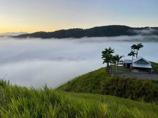 Premium Daintree Property For Sale With Established Tourism Income