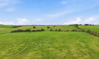 Productive Rural Property For Sale With Exceptional Home Site