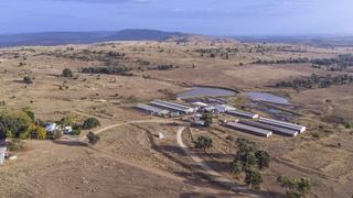 Established North Burnett Pig Farm For Sale With Secure Wate