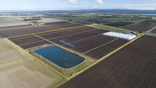 Highly Productive Farm For Sale In The Heart of QLD’s Salad Bowl!