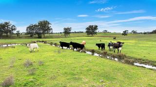 Rare Chance To Secure Exceptional Cropping + Grazing Property For Sale NSW
