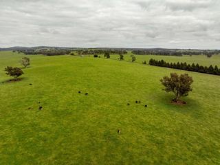 Proven NSW Cattle Property For Sale Offers Scale + Reliable Rainfall
