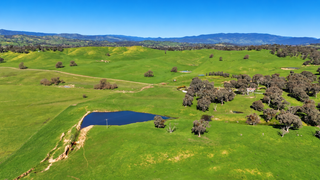 High Country Holding Suited To Cattle Grazing + Fodder Cropping