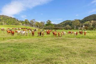 Highly Developed Cattle Property For Sale South East QLD