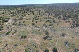 Genuine Offers Sought For 40,198-Hectare QLD Cattle Property