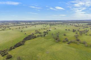 Highly Reliable Grazing Property For Sale VIC Wimmera Region