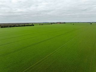 Prime Mixed Farm For Sale NSW Boasts Excellent Water + Fertile Soils