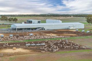 Large Scale Mixed Farm For Sale In Tightly Held Western VIC Region