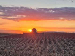 Premium Farming Investment For Sale North QLD