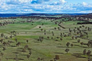 Large Scale Cattle Breeding Property For Sale NSW