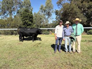 Leawood Angus achieves total clearance as Gippsland graziers compete