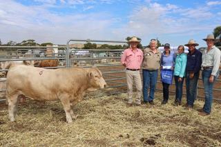 Strong prices and spirited competition reflect the quality of yearling line-up