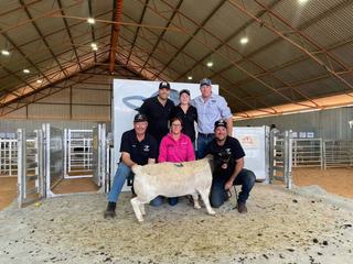 New southern clients help full-clearance Deepdale sale gross over $500,000