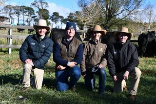 Repeat buyers take home quality and volume at snowy Hazeldean Angus sale
